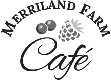 Merriland Farm Café with blueberries and a raspberry